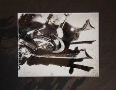 Fine Art Darkroom Print from «Fishtail Harley» -Gordy and the Pussycats