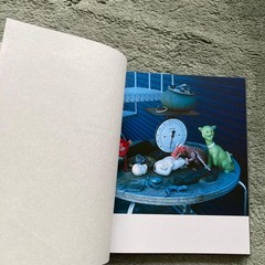 Rare Not For Sale Nobuyoshi Araki Tokyo Bojo Guimet Museum Catalog Photobook