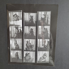 Curiosa Contact Board Nude Photos Female 1970s Portrait Young Woman