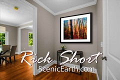 Autumn Fall Color Fine Art Photography Matted & Framed Artwork The Call of Fall