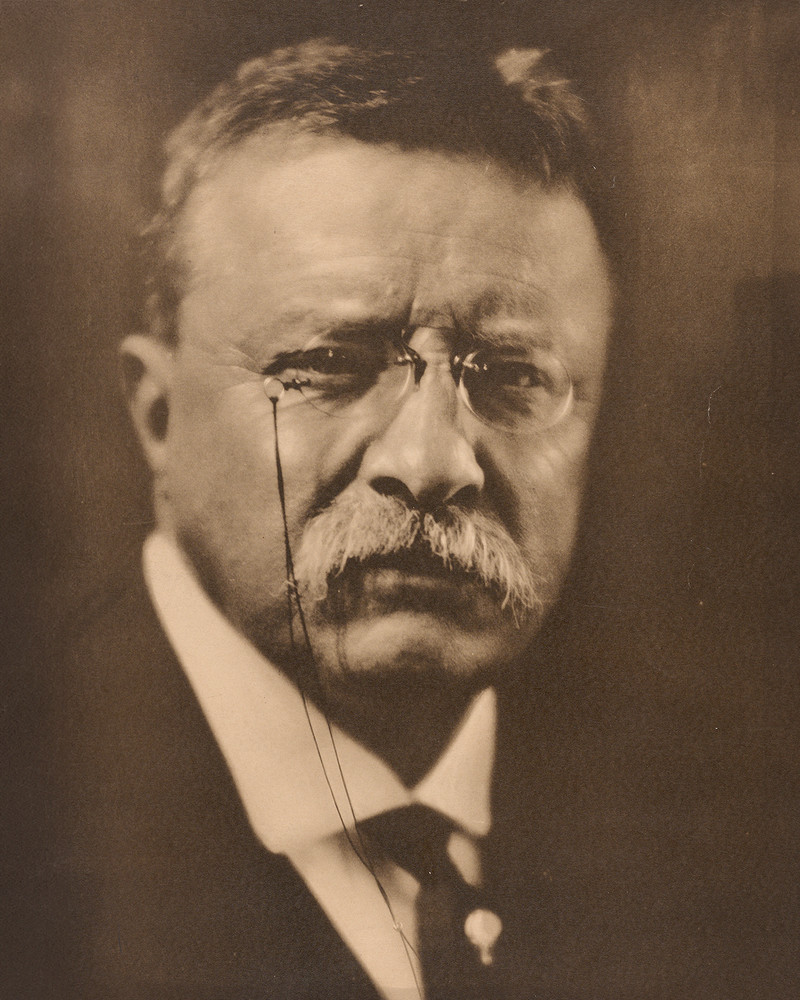 Teddy Roosevelt Portrait Photograph Print 8″x10″ Wall Art 8×10