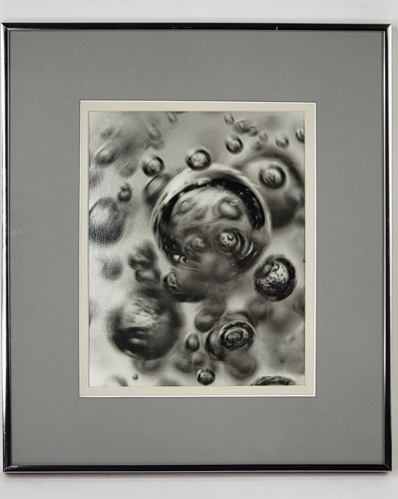 Steven Michael Bogdonas | «Hidden Beauty» Original Hand-Printed Photo, 13″ x 15″