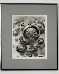 Steven Michael Bogdonas | «Hidden Beauty» Original Hand-Printed Photo, 13″ x 15″