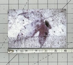 Robert Smith (Photographer) 2001 Art Announcement Card – Eyes Wide Open