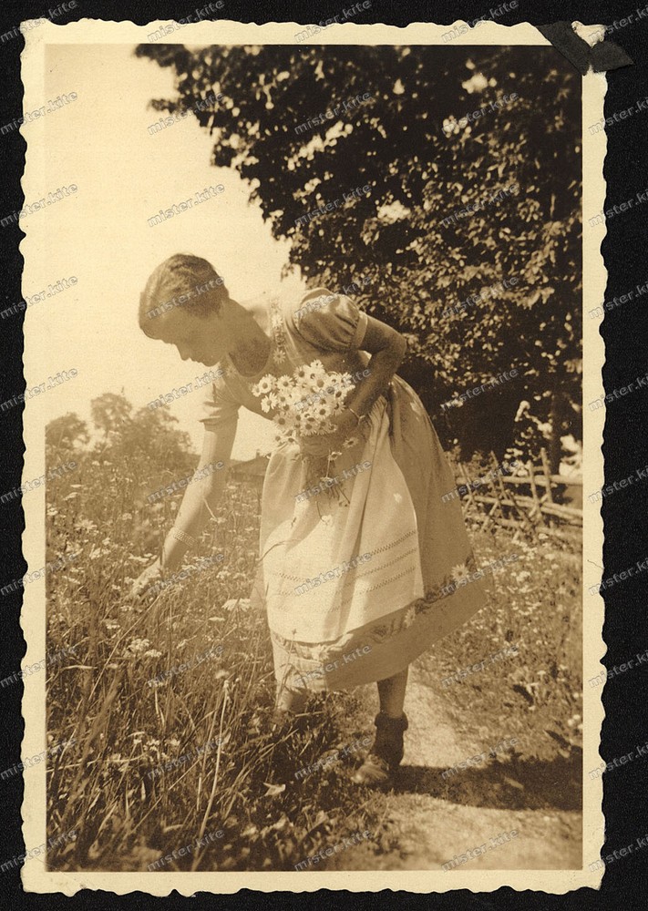 Photo-Lenggries-Woman-Margarite-Picking-Woman-Dress-Tölzer Land-1935-154