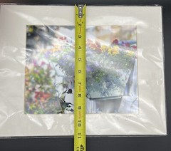 Floral Photography Picture Art by Lynn Jordan «The Flower Box & a Picket Fence»