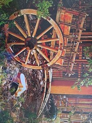 Framed Photograph Of A Rustic Scene Featuring A Wagon And Nature