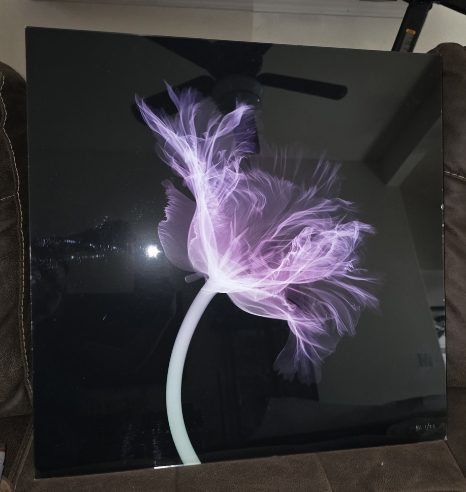 Nick Veasey Parrot Tulip #1 Out Of 25