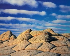 Michael Fatali «Sleeping Turtles» Authentic Framed Hand-Signed Photograph 1999