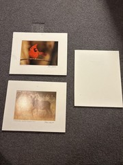 Moose, Cardinal, And Puffin Photographs 10 X 8 And 8 X 10 Barely Used