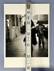 Jorie Graham, Poet Fotofolio Art Print Card Photo By Annie Leibovitz 4.25”x6”