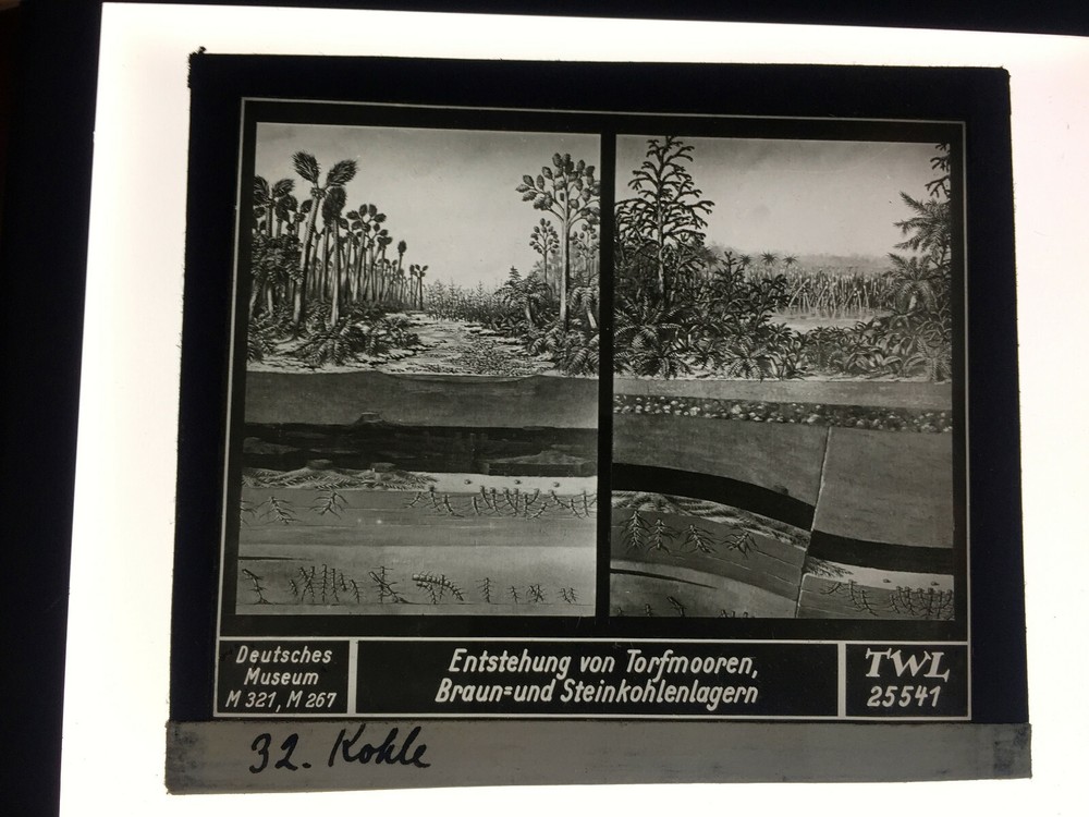 Original old glass slide/plate German Museum design peat bogs. c.1928 8.5x10cm SW –
