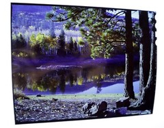 5×4 Transparencies 1950s | 1000+ Western US Landscape 4×5 Transparency Nega File