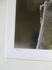 signed Original Black & White Photograph FIRST FROST Leaves 18″ x 22″ 3/150