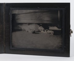 VIK MUNIZ ‘Under the Bed’ SIGNED Ambrotype Photograph from ‘Clayton Days’ Framed