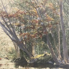 AQ Fred Thompson “Woodland Symphony” Original Hand Tinted Photograph Signed 7×9”