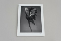 VADIM STEIN – Fine Art Contemporary Dance Photograph Signed Ltd Edition BW Print