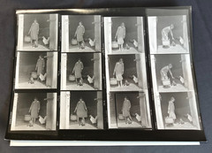 NEWLY FOUND! Hendrickson PHOTO Contact Sheet Proof/Negs FARM GIRL FEEDS CHICKENS