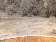 Arthur Gray Original Iconic Cleveland Ohio Dunes Scene WPA Original Photograph!