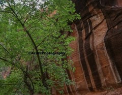 10×8 » Print Original Photo Photography Desert Art Decor Arches Narrows Canyons