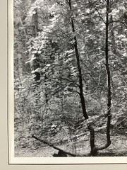Bob Werling Signed #3 Lake Tahoe Black & White Framed Decorative Edition Print