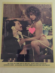 VINTAGE!! BARBARA DARE Promotional 8×10 PHOTO Adult X Film Star (Early 1980’s)