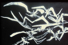 Vintage Art History 35mm Glass Slide Herbert Ferber And Brush Was Not Consumed