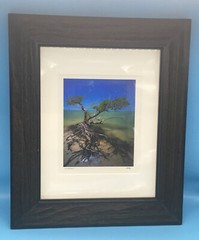Jeff Ripple Signed Framed Photograph “New Turkey Key II”.