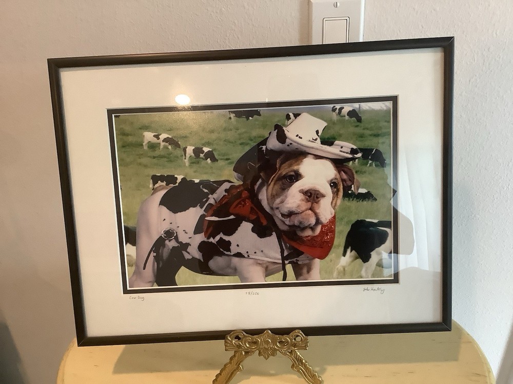 John Hartung “ Cow Dog” Bulldog In Holstein Pasture Photo Numbered 28/250 Signed