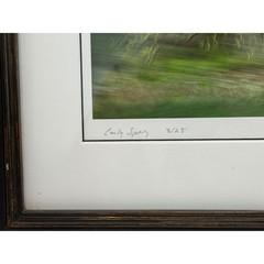 Sarah Hood Salomon Early Spring Framed Archival Photo Signed Numbered 3/25 Art