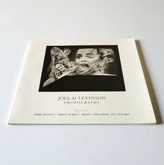 Joel D Levinson Photographs, Signed- Flea markets, SC 1st Ed 1984 VG Condition