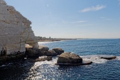 Photo Digital Product Illustration. Elephant and the sea. Israel.