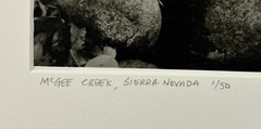 Original GORDON H HASTINGS California Yosemite Death Valley Gelatin PHOTOGRAPHS