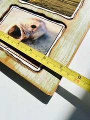 Custom wood Piranha beach photography art home deco by Steve Harris
