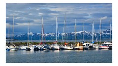 Sailboats in Tromso Marina, High Resolution Image, Many Formats, TV Art