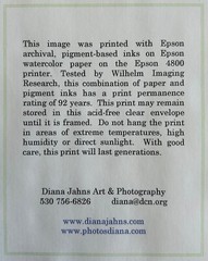Diana Jahns – original, signed photograph «Rearview Overpass» – 2008