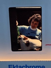 Lot Of 40 Vintage 1970’s Summer Vacation Nature Amateur 35mm Color Slides 2-9-7