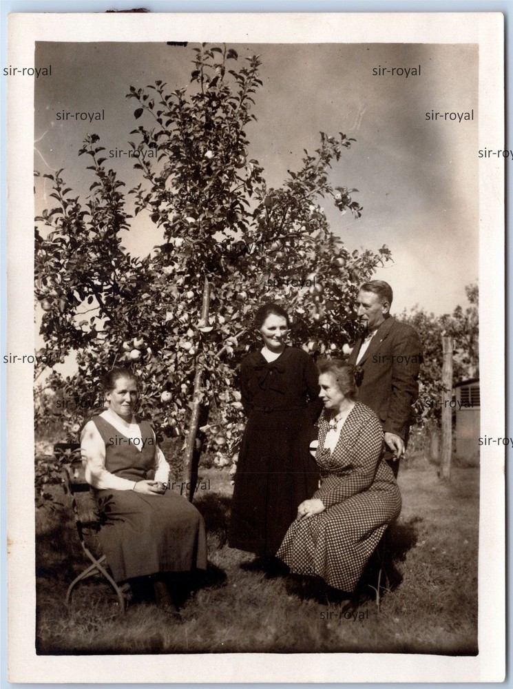 Hage near Norden 1931 – People in the Garden – 1930s East Frisia – Photo 9x12cm