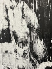 🔥 Vintage Modern Bodybuilding MUSCLE Man Photograph Painting, Lillian BASSMAN