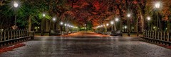 Peter Lik Original “Boulevard of Dreams»Limited Edition (427 Of 450) 150cm