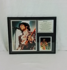 Prince Retrospective Memorial Framed Photos and Biography Double Matted #J4039