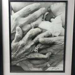 4 Generations Women Family Black and White Newborn Large Photo Love 18 X 22 Hope