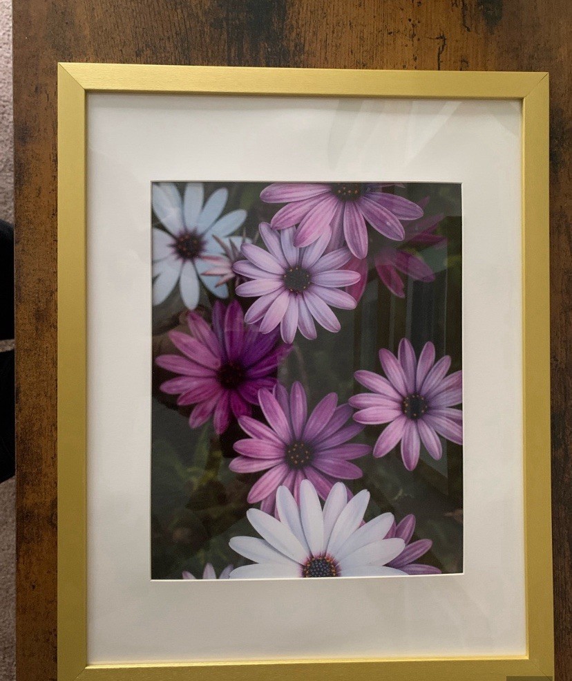 Purple and White Gold Framed Photograph Print