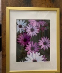 Purple and White Gold Framed Photograph Print