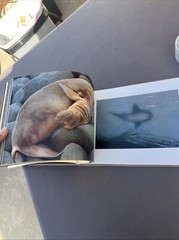 ERNST HAAS – Die Schopfung – 1971 German Book