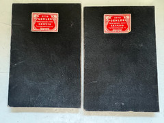 2 Antique Crystoleum Photos Convex Glass – Child Portraits Circa 1890 – Size 16x11cm