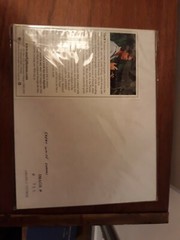 Great White Sharks, signed/matted 8×10 photograph by Mark J. Thomas
