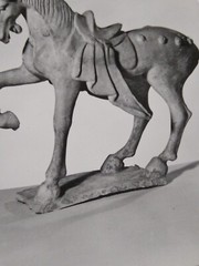 VTG RPPC Earthen Figure Of A Horse: Chinese, T’ang Dynasty MUSEUM POST CARD