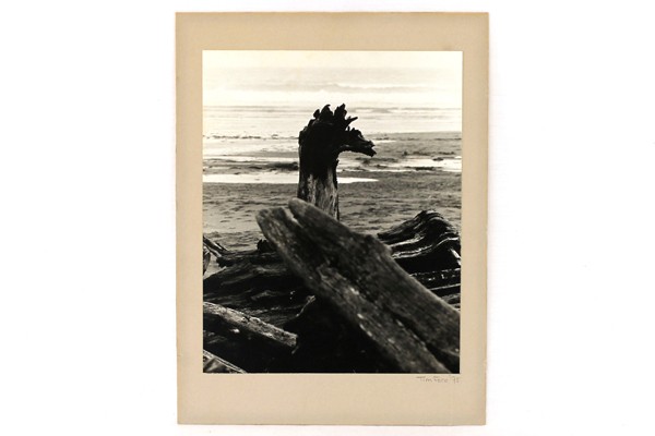 Driftwood at Ocean 1975 Tim Ford B&W Photo Mounted 9.5x7in Ready to Frame