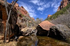 Left Fork of North Creek #5 Zion National Park Utah Landscape Photo Print ZP17